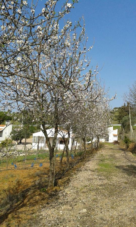 Holiday Home Monte Das Azinheiras Arraiolos Eksteriør bilde